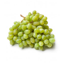 uva blanca sin pepitas