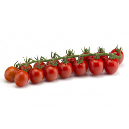tomates cherry divinos