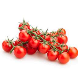tomate cherry rama
