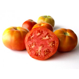tomate jack extra