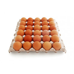 huevos calibre L 30 unidades