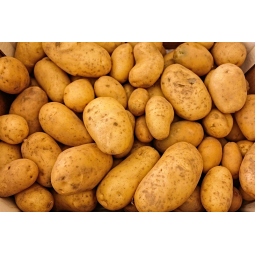 patatas agrias primadona