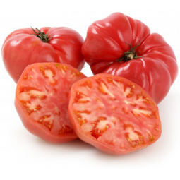 tomate rosado extra