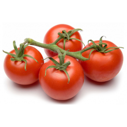 tomate rama