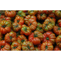 tomates raf del perello