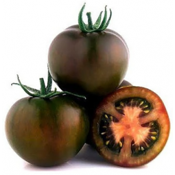 tomate kumato