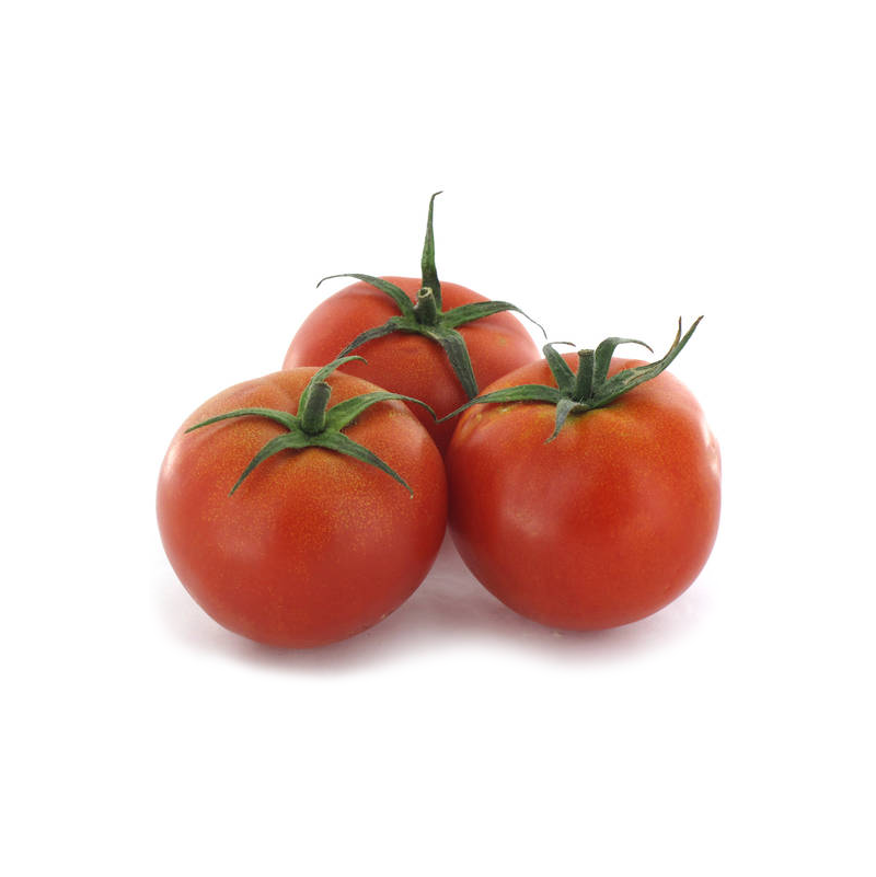 tomate ensalada calibre 25