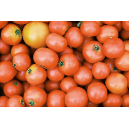 tomates ensalada calibre 25