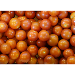tomates cherry bandeja