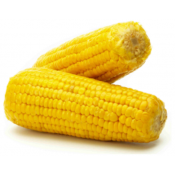 maíz cocido bandeja 2 unidades